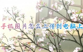 手机图片怎么上传到电脑上 手机照片传到电脑的最快方法