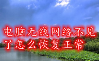 电脑无线网络不见了怎么恢复正常 win10电脑无线网络不见了的解决方法