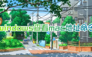 windows查看mac地址命令 电脑的mac地址怎么查