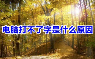 电脑打不了字是什么原因 电脑打不了字的原因及解决方法