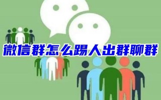 微信群怎么踢人出群聊群 怎么移除群里的某一个人