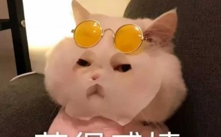 性能测试指标有哪些（快速了解测试常见的指标）