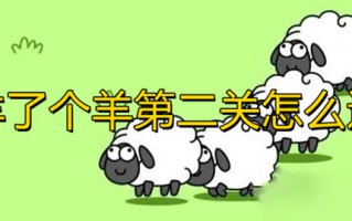 羊了个羊第二关怎么过 羊了个羊游戏通关攻略