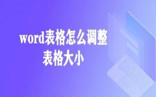 word表格怎么调整表格大小 word调整表格大小的方法介绍