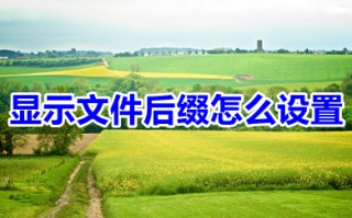 显示文件后缀怎么设置 win10显示文件后缀设置步骤