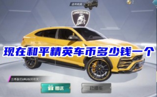 现在和平精英车币多少钱一个 和平精英车币在哪里买便宜
