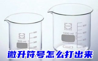 微升符号怎么打出来 word输入&mu;L微升符号教程