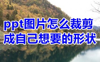 ppt图片怎么裁剪成自己想要的形状 ppt图片怎么裁剪