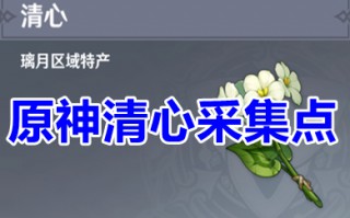 原神清心采集点 原神清心采集路线图