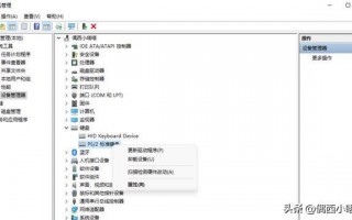 键盘亮了灯但打不了字（电脑键盘打不出字怎么办）