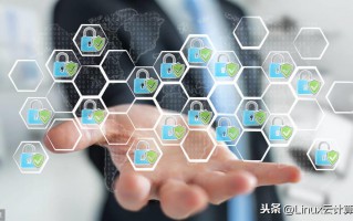 应用软件有哪些系统（快速了解计算机软件系统）