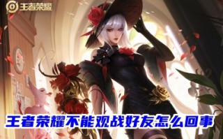 王者荣耀不能观战好友怎么回事 王者荣耀观战不了的原因分析