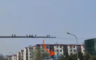 去北京坐地铁需要下载什么软件 （北京旅游如何乘坐地铁）