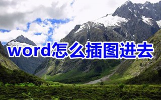 word怎么插图进去 word插图为什么显示不全