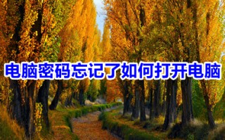 电脑密码忘记了如何打开电脑 忘记电脑密码进入电脑的操作方法
