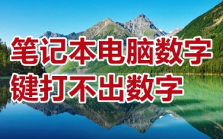 笔记本电脑数字键打不出数字 笔记本电脑数字建打不出数字的原因及解决方法