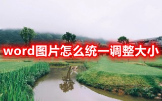 word图片怎么统一调整大小 word怎么一次改所有图片