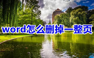 word怎么删掉一整页 word如何单独删除一页