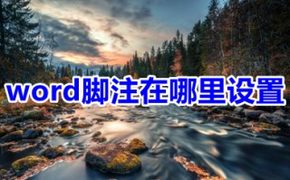word脚注在哪里设置 word脚注设置方法介绍