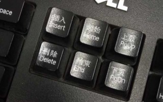 word文档打一个字少一个字怎么回事（打字时会消掉后面字解决办法）