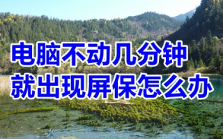电脑不动几分钟就出现屏保怎么办 电脑解除屏保的操作步骤