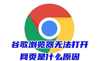 谷歌浏览器无法打开网页是什么原因 电脑上的google浏览器无法访问此网站的方法教程