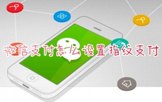 微信支付怎么设置指纹支付 微信指纹支付在哪里设置