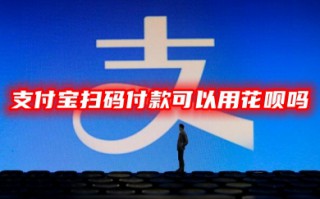 支付宝扫码付款可以用花呗吗 支付宝扫付款码使用花呗的方法教程