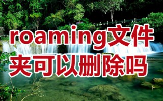 roaming文件夹可以删除吗 roaming文件夹怎么清理