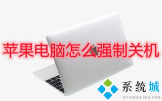 苹果电脑怎么强制关机 mac强制关机快捷键