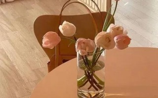 晚上散步的唯美句子心情说说（夜晚散步发朋友圈的文案）