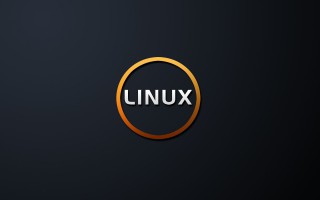 linux查看端口占用命令（如何查询端口被占用的情况）