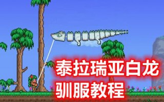 泰拉瑞亚白龙驯服教程在哪里看 泰拉瑞亚白龙真的能驯服吗