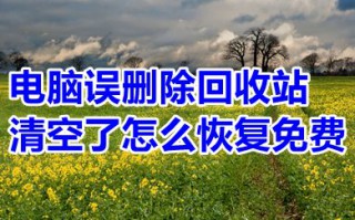 电脑误删除回收站清空了怎么恢复免费 如何把回收站清空的文件找回来