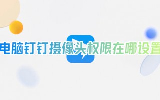 电脑钉钉摄像头权限在哪设置 电脑钉钉摄像头权限怎么打开