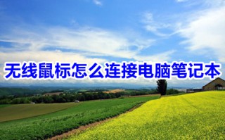 无线鼠标怎么连接电脑笔记本 无线鼠标连接笔记本电脑的方法介绍