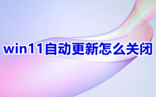 win11自动更新怎么关闭 win11设置永不更新的方法介绍