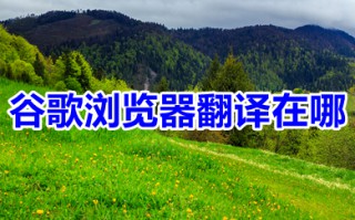 谷歌浏览器翻译在哪 谷歌浏览器翻译网页功能在哪里设置