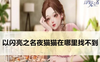 以闪亮之名夜猫猫在哪里找不到 以闪亮之名夜猫猫什么时候出现