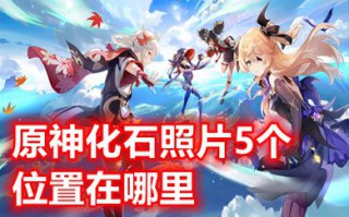 原神化石照片5个位置在哪里 原神拍摄更多的化石照片位置介绍