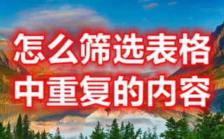 怎么筛选表格中重复的内容 excel如何找出重复数据