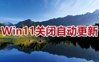 Win11关闭自动更新 win11如何关闭自动更新