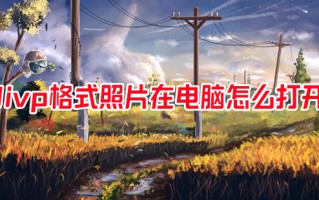livp格式照片在电脑怎么打开 livp格式用什么打开