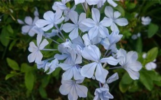 生活励志语录短句大全（生活中励志的句子说说）