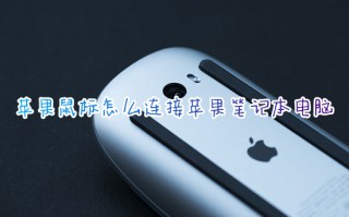 苹果鼠标怎么连接苹果笔记本电脑 苹果电脑如何连接无线鼠标