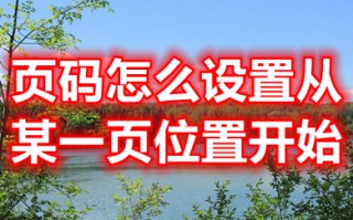 页码怎么设置从某一页位置开始 设置页码从某一页位置开始的方法介绍
