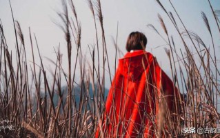 搞笑语录经典短句子文案（幽默短句子大全）