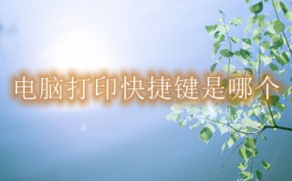 电脑打印快捷键是哪个 电脑按哪个键直接打印