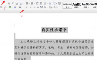 word默认字体和字号是什么（如何设置word默认字体）