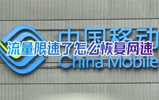 流量限速了怎么恢复网速 移动流量解除限速方法